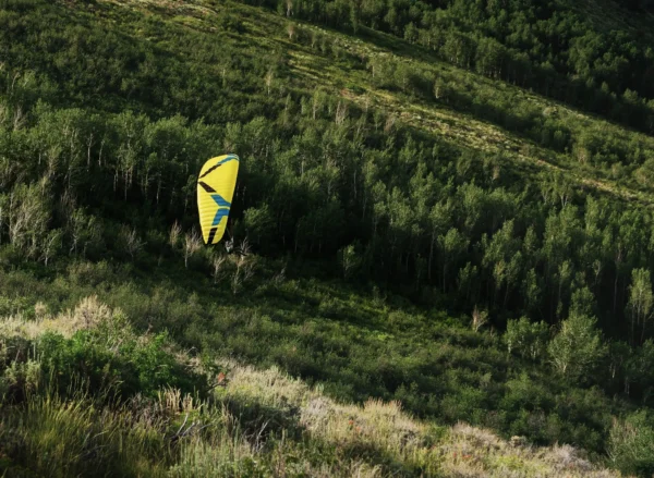 Ozone Litespeed 3Ozone Litespeed 3