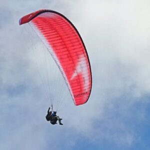 Swing TWIN RS 2