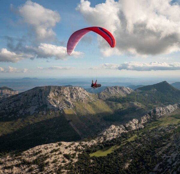 Ozone Alpina 4 Paraglider - Image 2