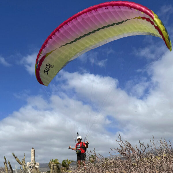 AirDesign SuSi XPed - Image 4