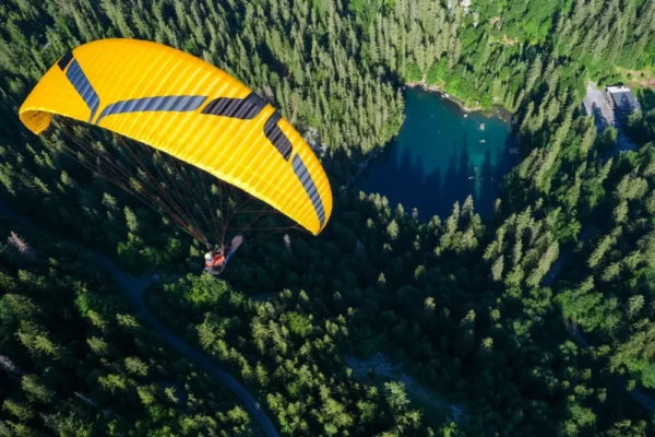 New Ozone Swift 6 - Image 2