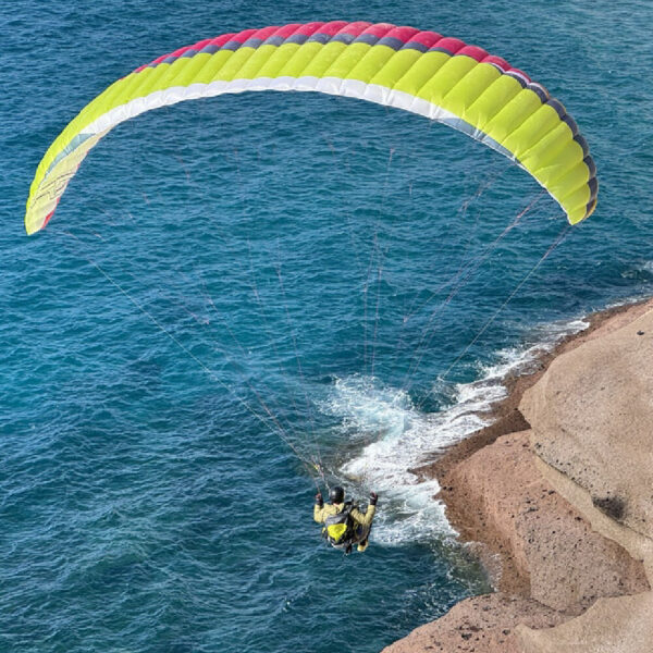 AirDesign SuSi XPed - Image 6