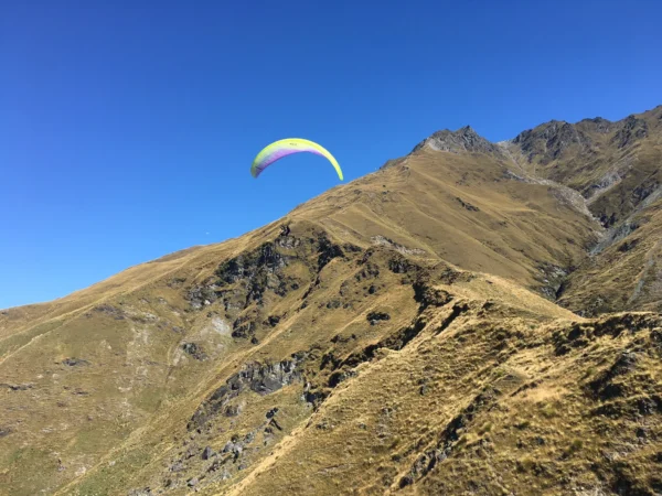 Ozone Swift max - Image 2